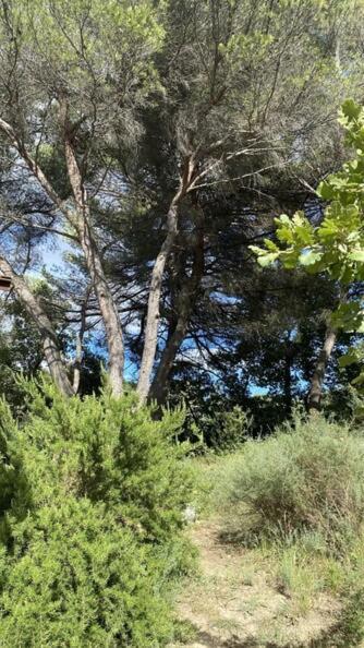 Le Havre De Paix Insolite Avec Sous Les Etoiles Holiday home Mirabel-aux-Baronnies